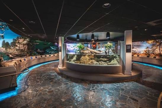 Aquarium gallery at the Toledo Zoo